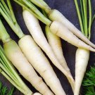 Lunar White Carrot Seeds Vegetable Gardening