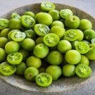 Tomato Seeds Green Doctors Tomato Seeds Cherry Tomatoes Open Pollinated Gardening