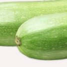 Italian Squash Zucchini Seeds Fresh Garden Seeds