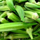 Emerald Okra Seeds Okra Seeds Fresh Garden Seeds