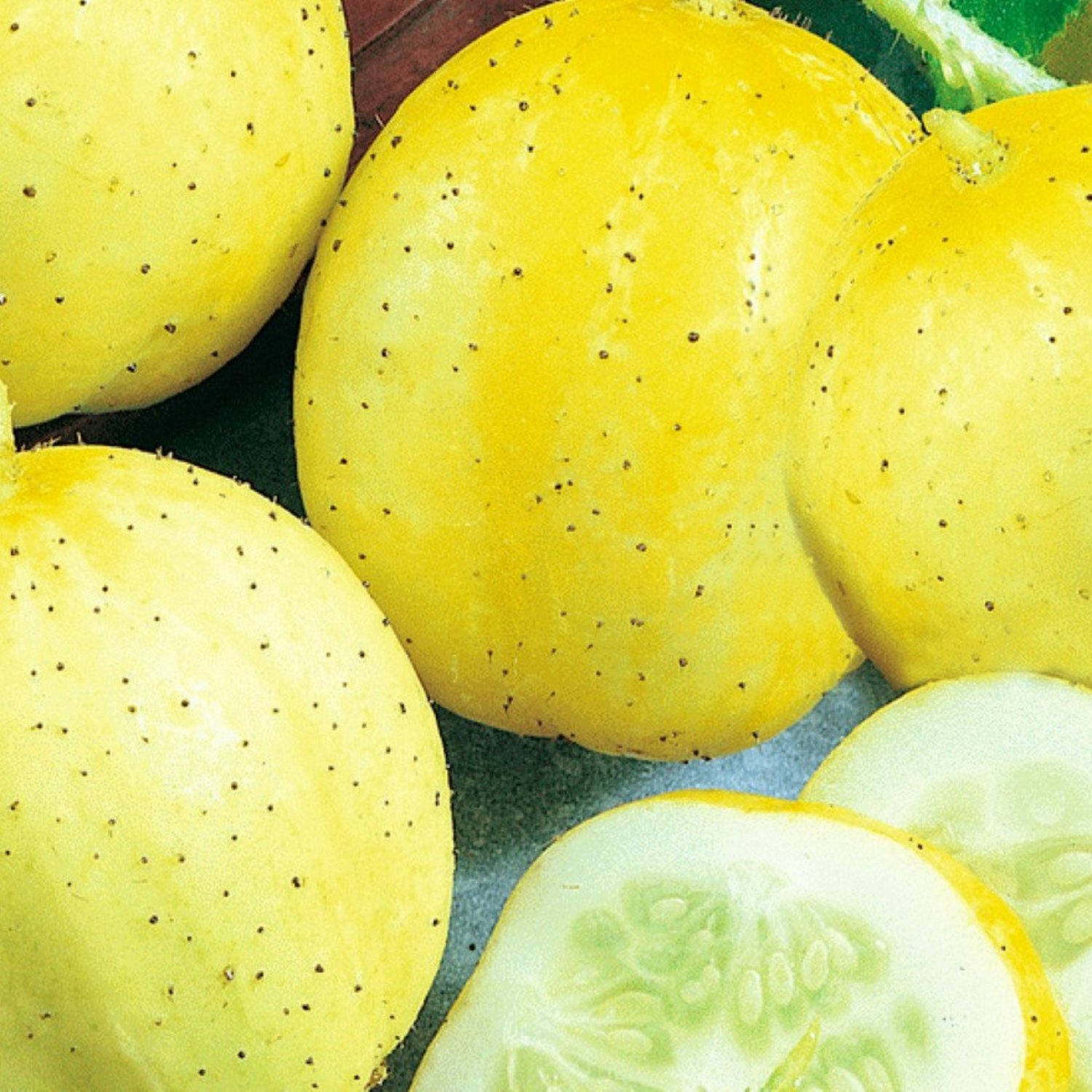 Lemon Cucumber Seeds Cucumber Seeds Garden Seeds