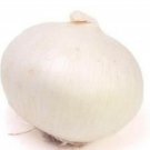 Eclipse L303 Onion Seeds Fresh Garden Seeds