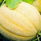 Hales Best Jumbo Cantaloupe Seeds Cantaloupe Seeds Seeds