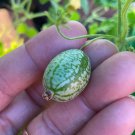 Cucamelon Seeds