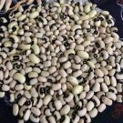 Pea Blackeye Seeds