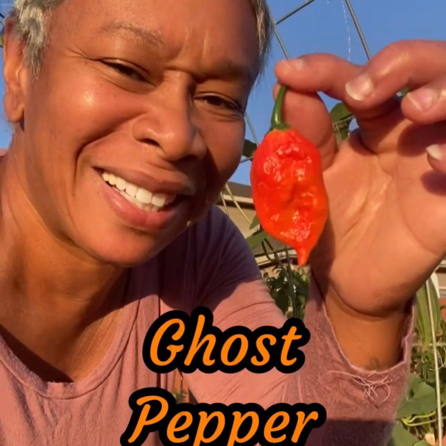 Ghost Pepper Seeds