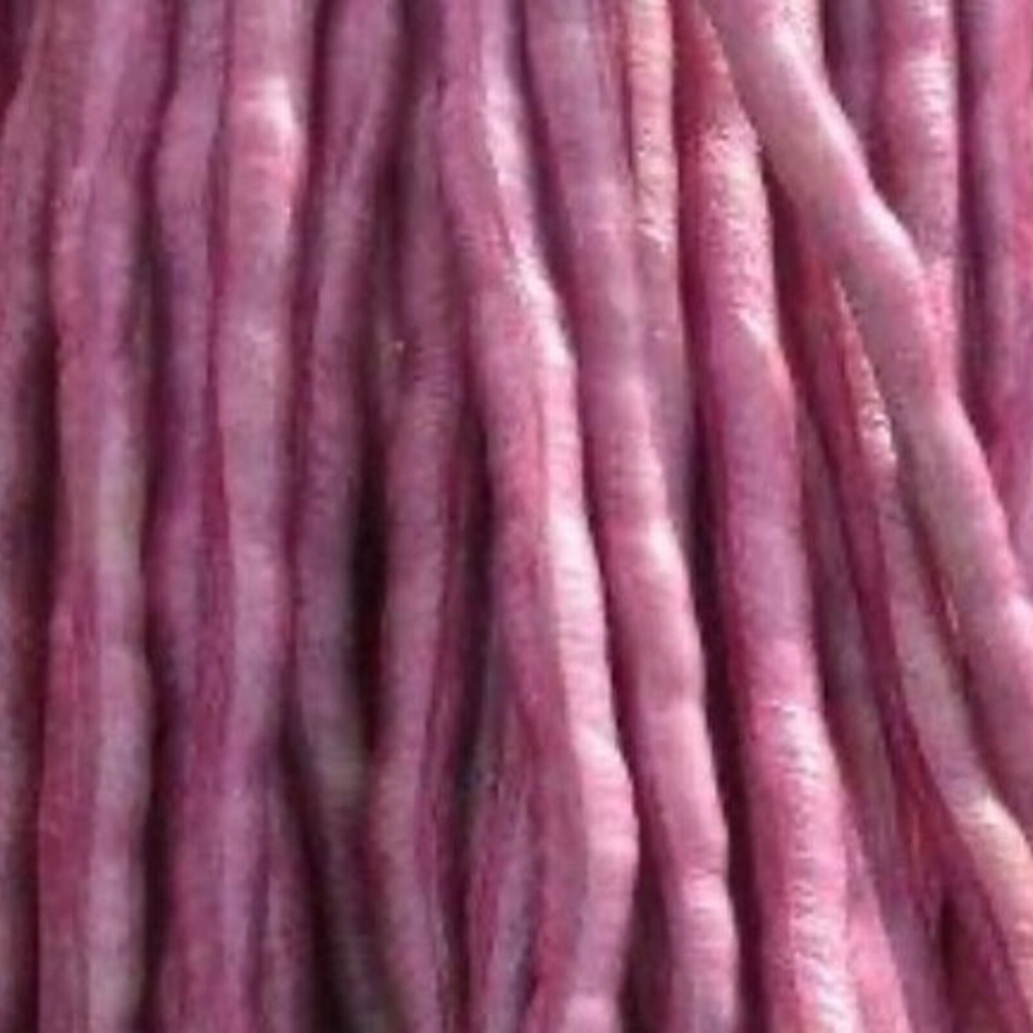 Mosaic Yard Long Bean Seeds