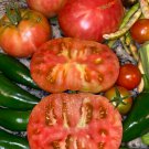 Mortgage Lifter Tomato Seeds