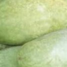 Charleston Gray Watermelon Seeds
