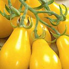 Yellow Pear Tomato Seeds