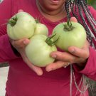 White Beefsteak Tomato Seeds