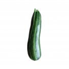Cocozelle Zucchini Seeds Organic