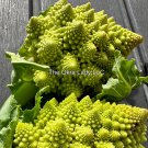 Romanesco Broccoli Seeds