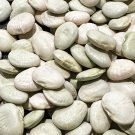 Early Thorogreen Lima Bush Bean Seeds