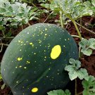 Moon & Stars Yellow Flesh Watermelon Seeds