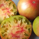 Captain Lucky Tomato Seeds Organic