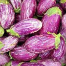 Shooting Stars Eggplant Seeds