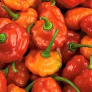 Sweet Bonnet Pepper Seeds Hot