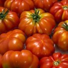 Rosso Sicilian Tomato Seeds