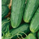 Homemade Pickles Cucumber Seeds