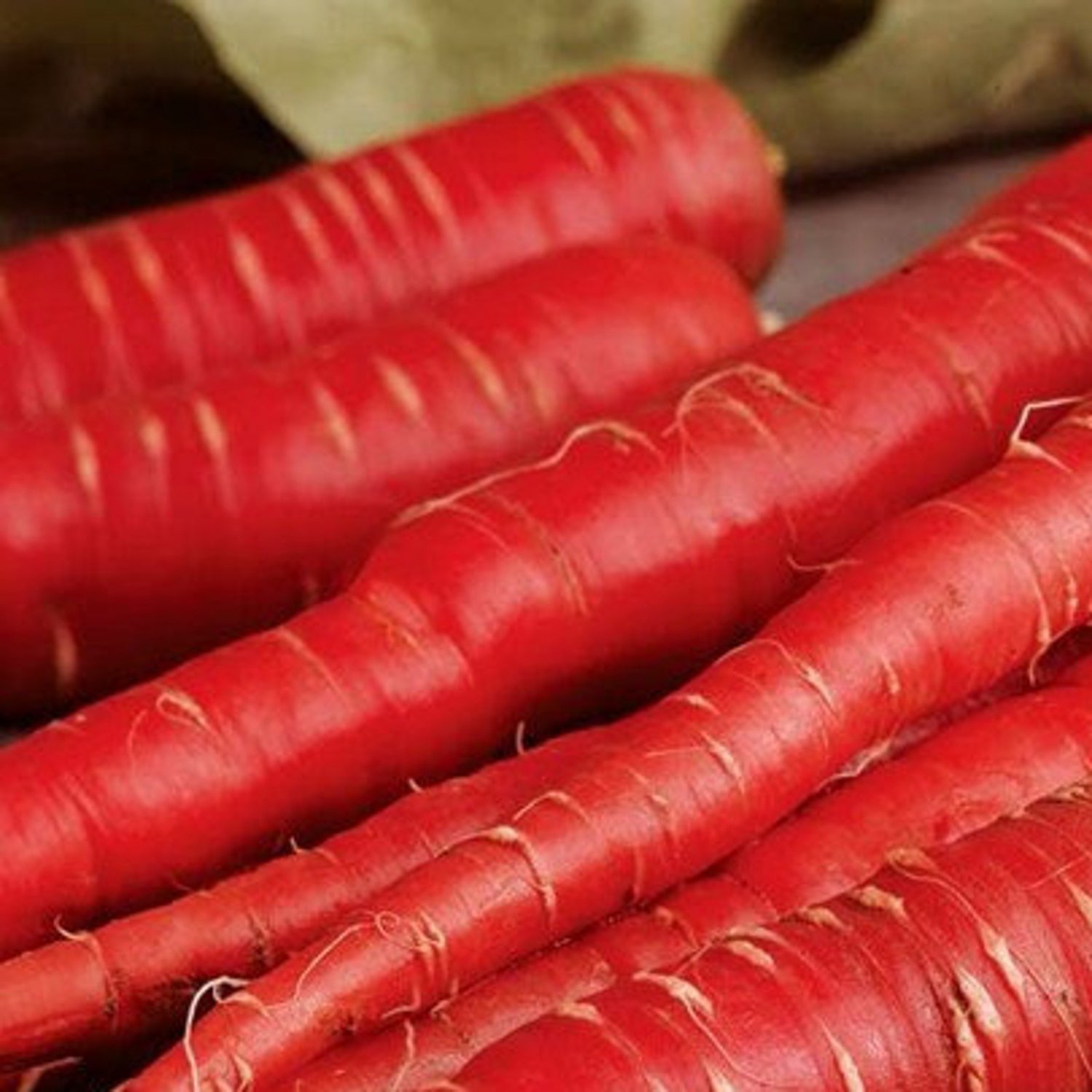 Atomic Red Carrot Seeds Organic