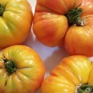 Big Rainbow Tomato Seeds Organic