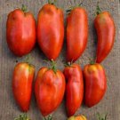 Blue Beech Tomato Seeds Organic