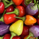 Chinese 5 Color Pepper Seeds Hot Organic