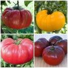 Brandywine Tomato Mix Organic Seeds
