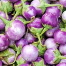 Round Mauve Eggplant Seeds