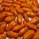 Opalka Paste Tomato Seeds