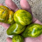 Mint Julep Tomato Seeds