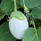 Japanese White Egg Eggplant Seeds