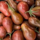 Midnight Pear Tomato Seeds Organic
