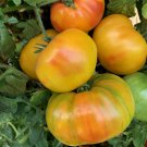 Marvel Stripe Tomato Seeds