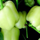 Diamond Pepper Seeds Sweet
