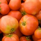 Long Keeper Tomato Seeds