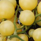 Super Snow White Tomato Seeds