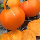 Valencia Tomato Seeds