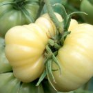 White Wonder Tomato Seeds