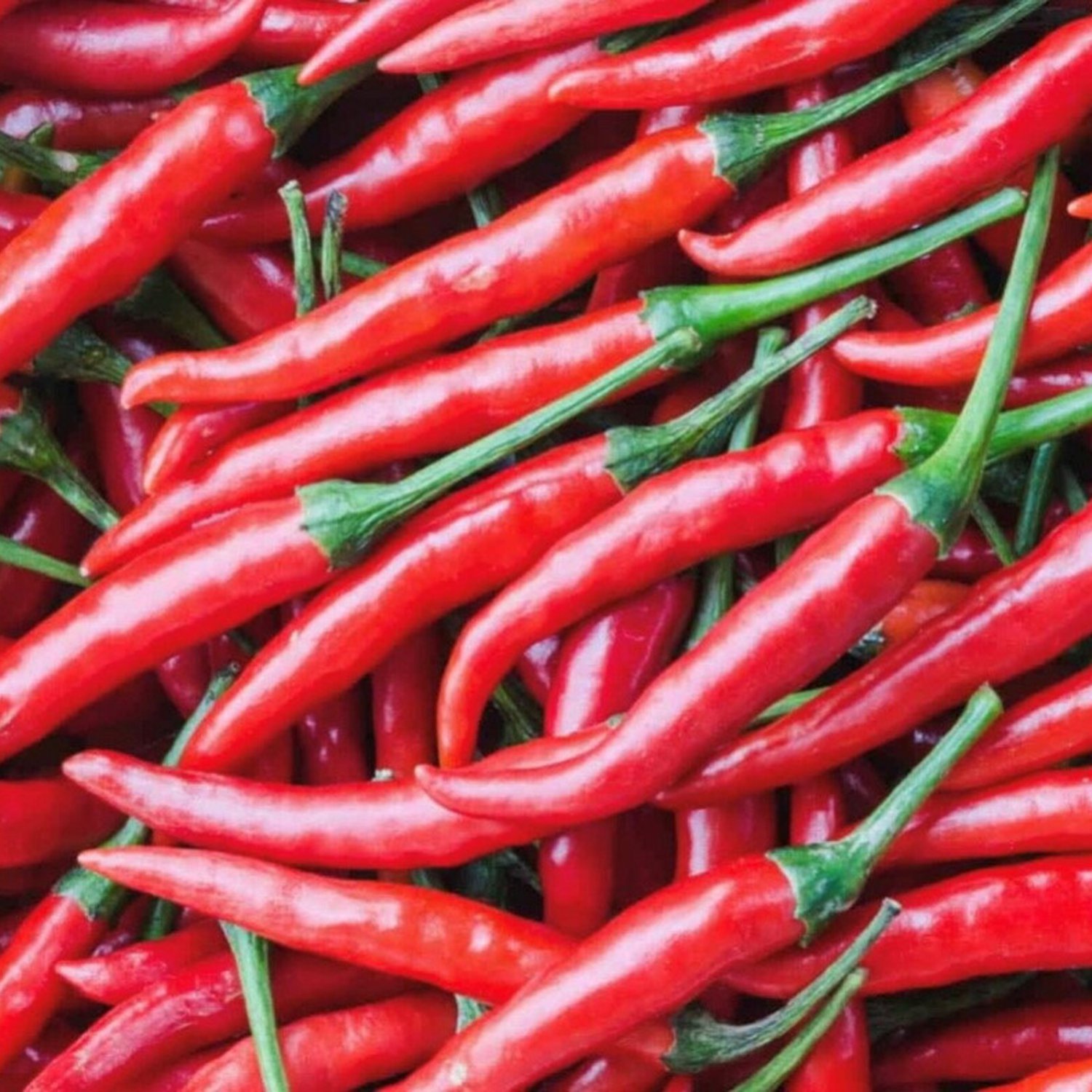 Sweet Cayenne Pepper Seeds