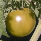Lime Green Salad Tomato Seeds Organic