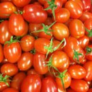 Baby Roma Cherry Tomato Tomato Seeds Organic