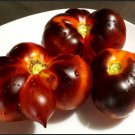 Indigo Apple Tomato Seeds Organic