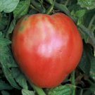 Hungarian Heart Tomato Seeds