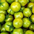 Green Bumble Bee Tomato Seeds