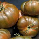 Black From Tula Tomato Seeds Organic