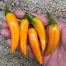 Bulgarian Carrot Pepper Seeds Hot
