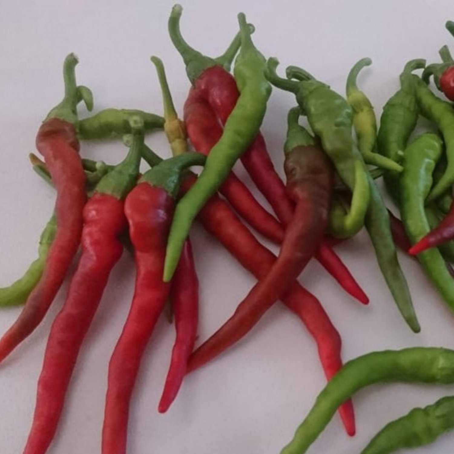 Long Red Thin Cayenne Pepper Seeds Hot