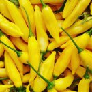 Lemon Drop Pepper Seeds Hot
